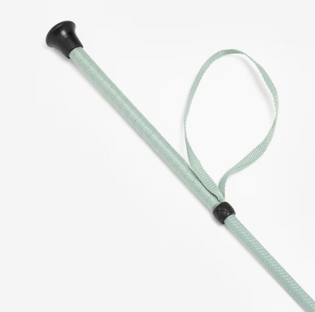 𝐇𝐨𝐫𝐬𝐞 𝐫𝐢𝐝𝐢𝐧𝐠  𝐬𝐭𝐢𝐜𝐤(Mint)